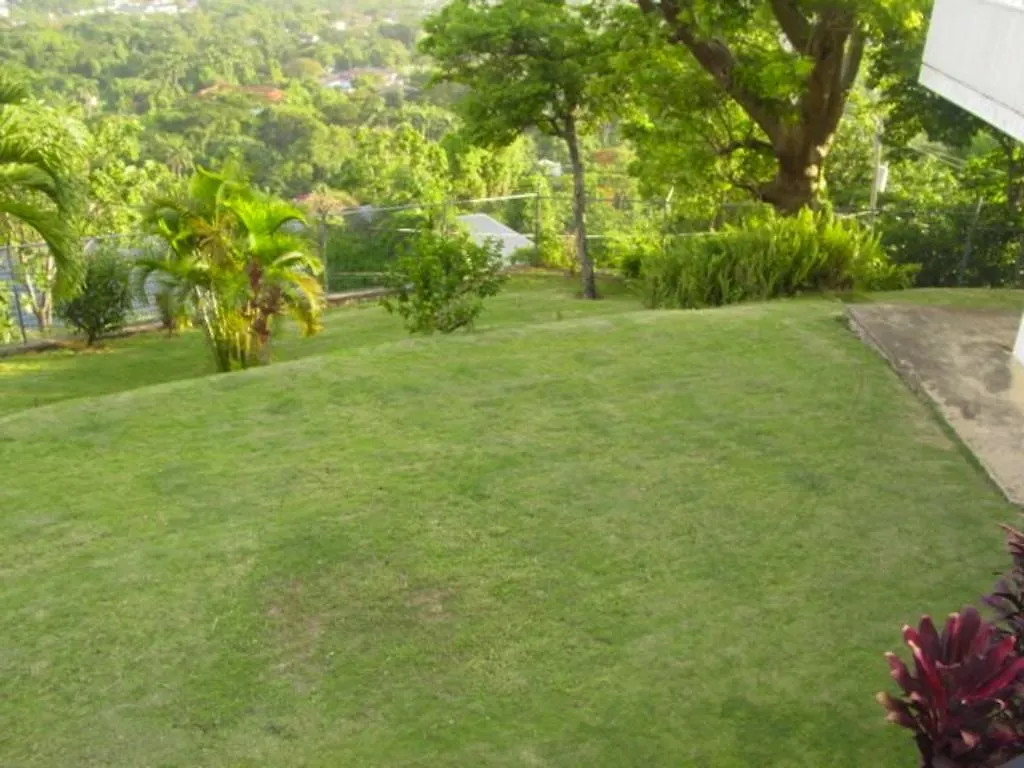 Hill Top Kingston Jamaica Jamaica